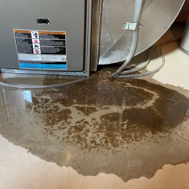 Appliance Leak Cleanup in Jackson County, NC